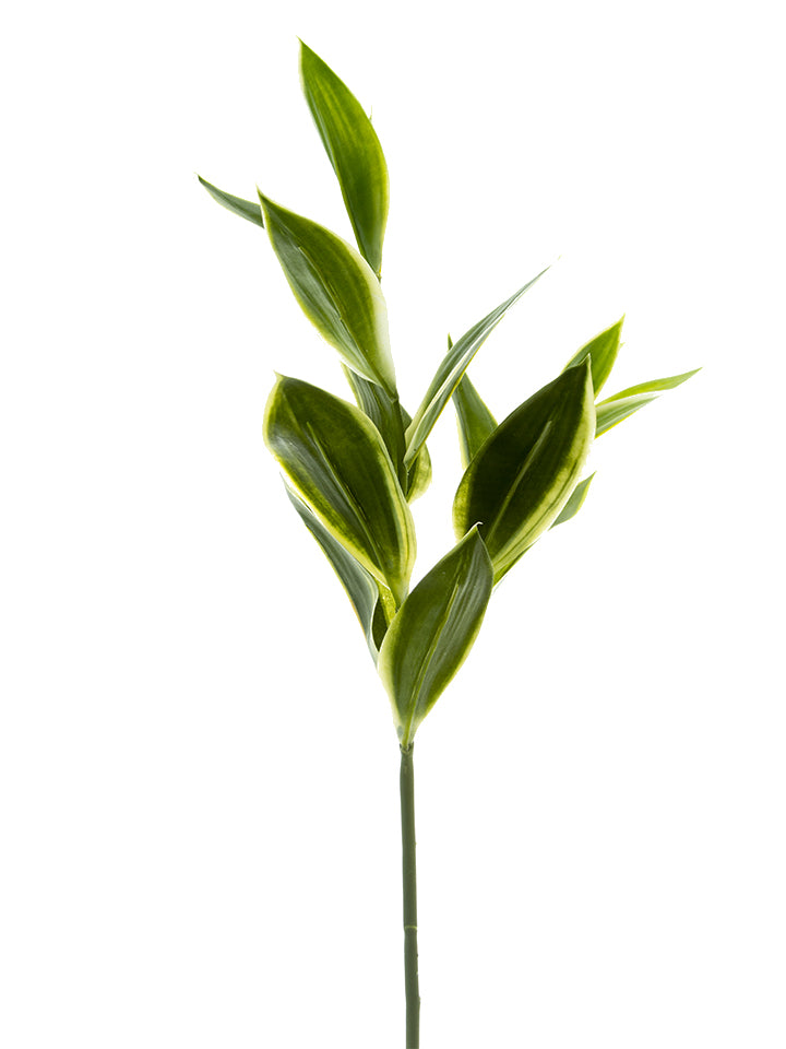28" Corn Plant Spray, Green Yellow