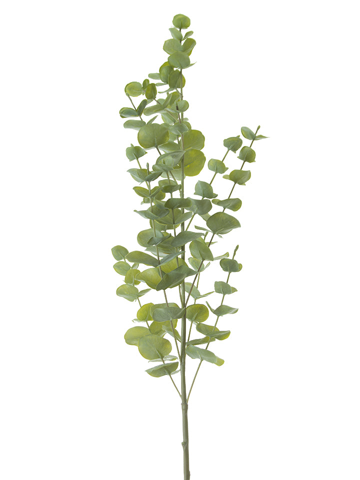 40" Spiral Eucalyptus Spray, Sage Green