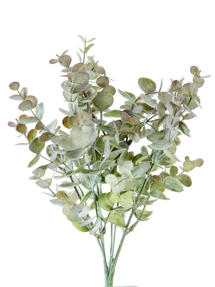 13" Eucalyptus Bush, Burgundy Green