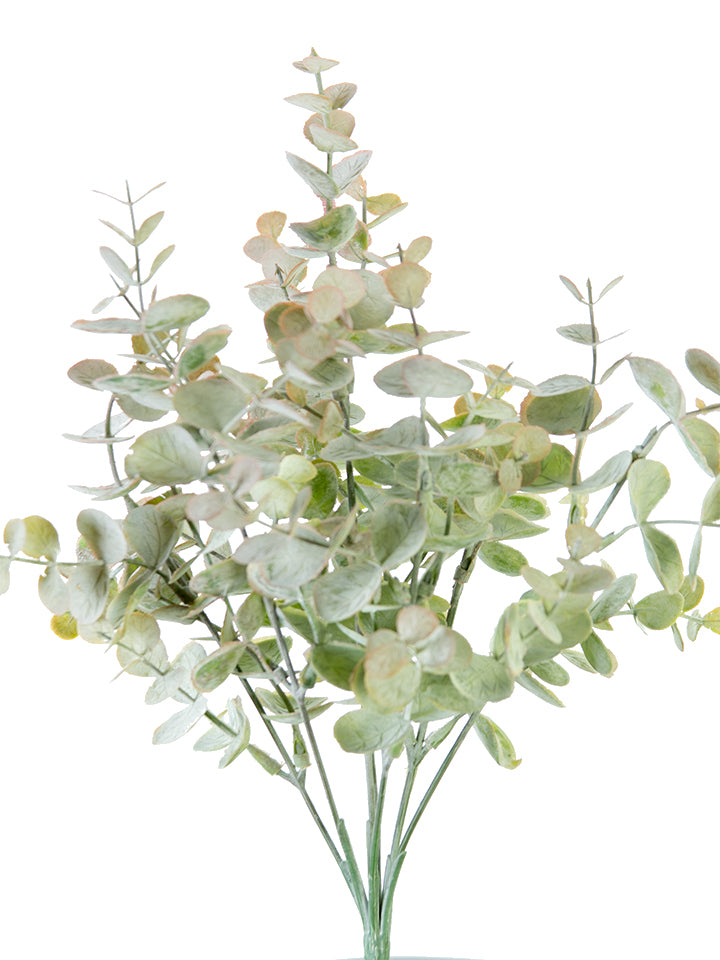 13" Eucalyptus Bush, Green Pink
