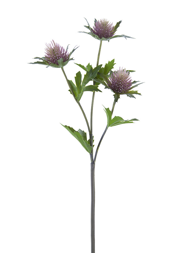 23" Eryngo Thistle Spray, Mauve