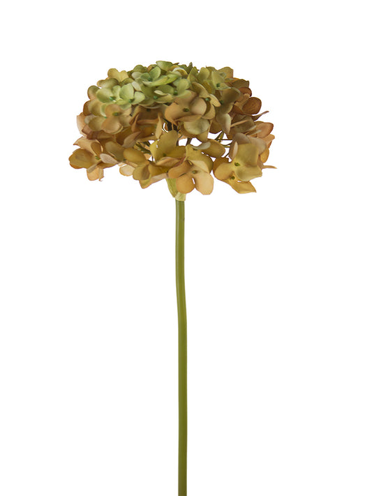 21" Hydrangea, Brown Green
