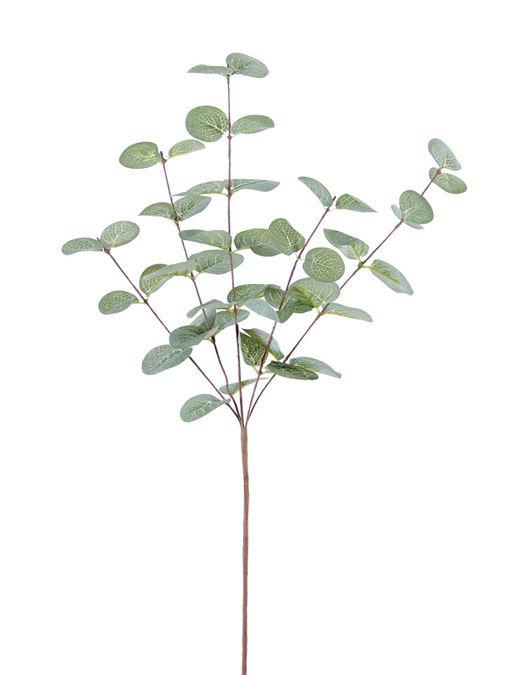 26" Eucalyptus Spray