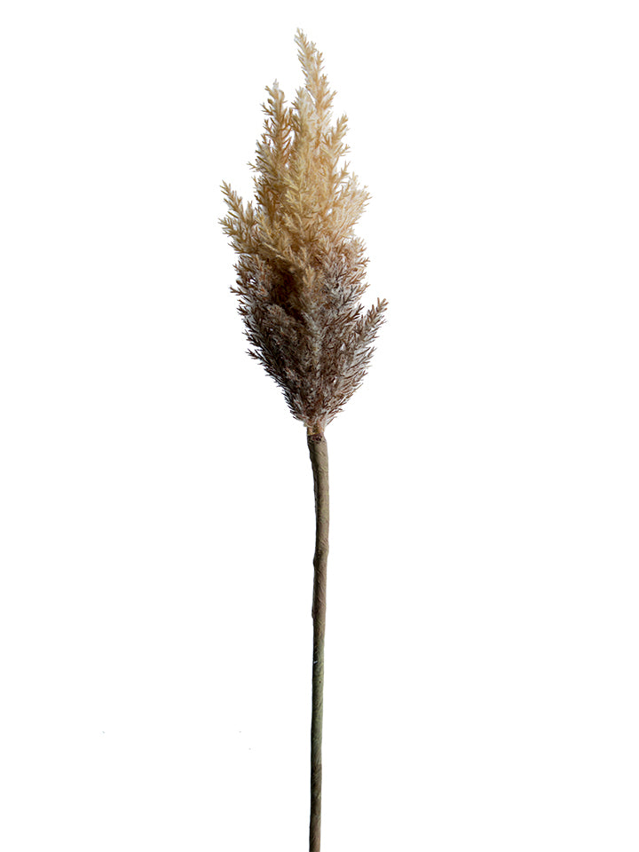 33" Dried Astilbe Spray, Brown