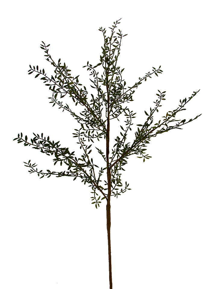 47" Rosemary Branch