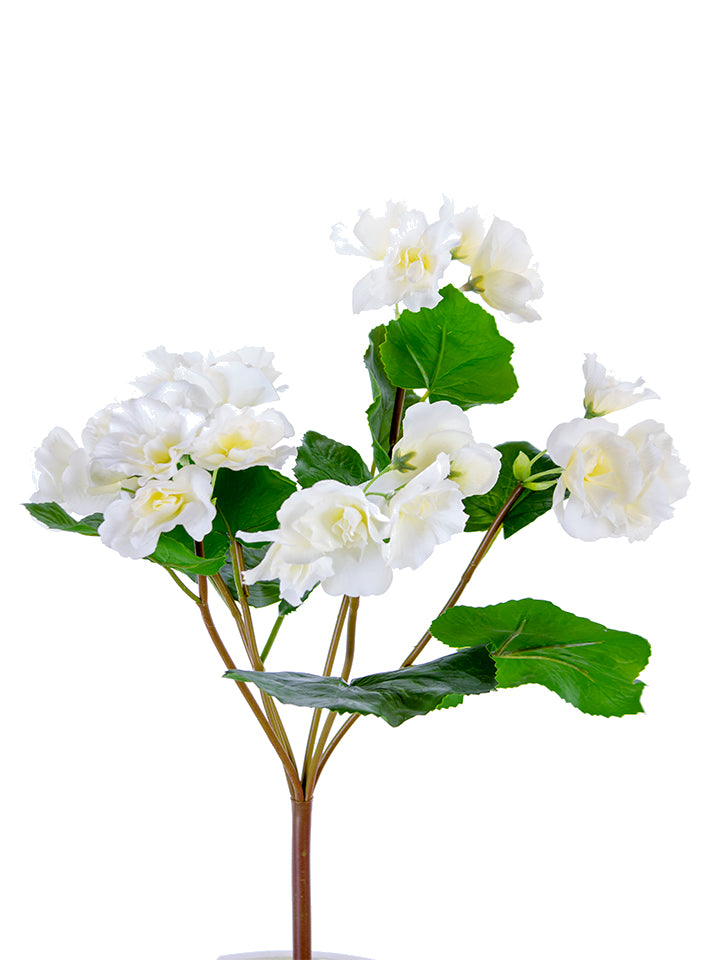 17" Begonia Spray, White