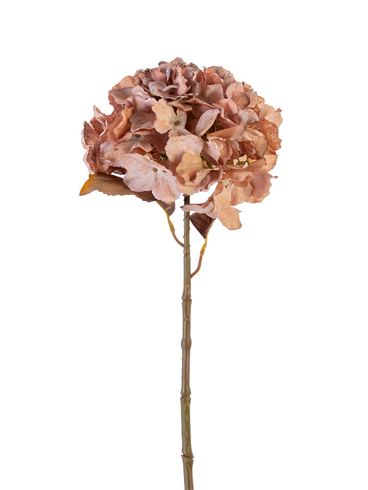 25" Dried Hydrangea Spray, Dark Pink