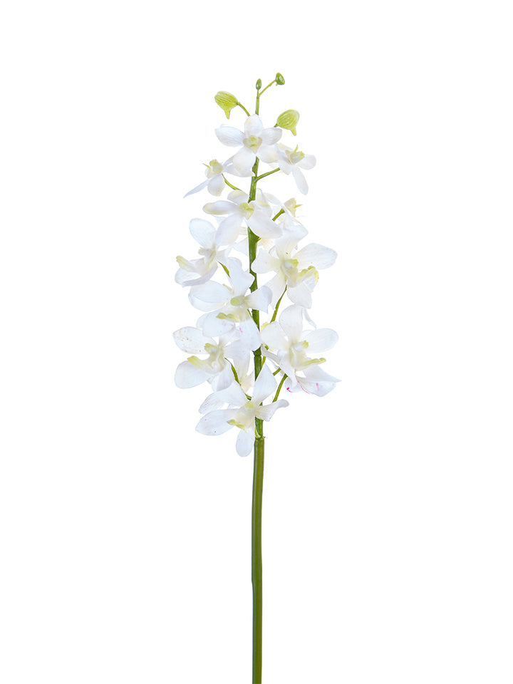 27" Real Touch Vanda Orchid, White