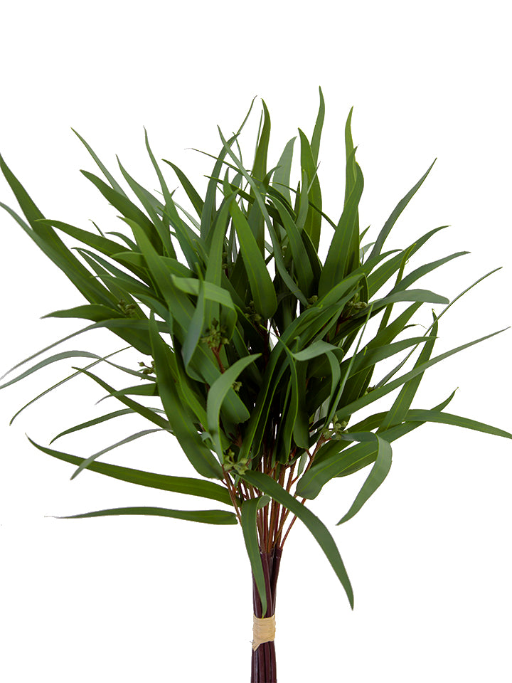 20" Feather Leaf Eucalyptus Bundle, REAL TOUCH