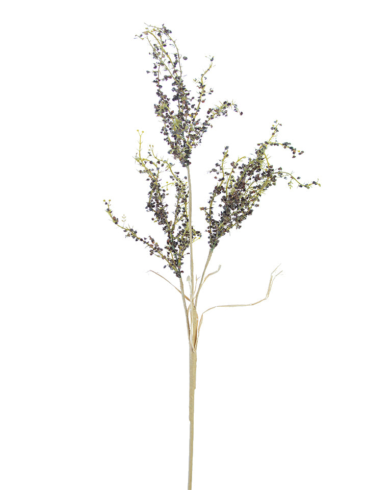 34" Dried Amaranthus Spray, Brown Green