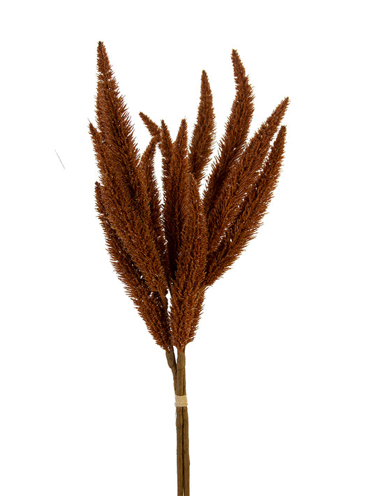 26" Foxtail Bundle, Coffee