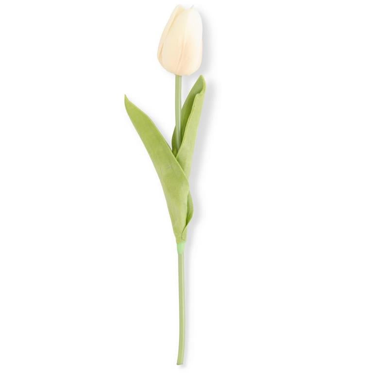 10.5" Single Mini Tulip (Various Colors)