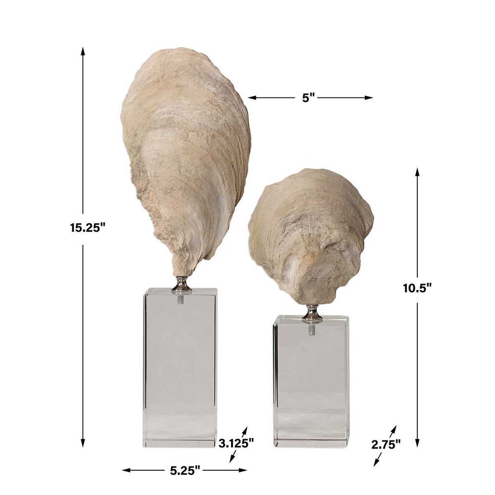 Oyster Shell Sculptures (Various Sizes)