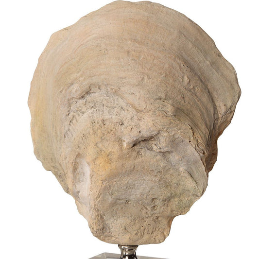 Oyster Shell Sculptures (Various Sizes)