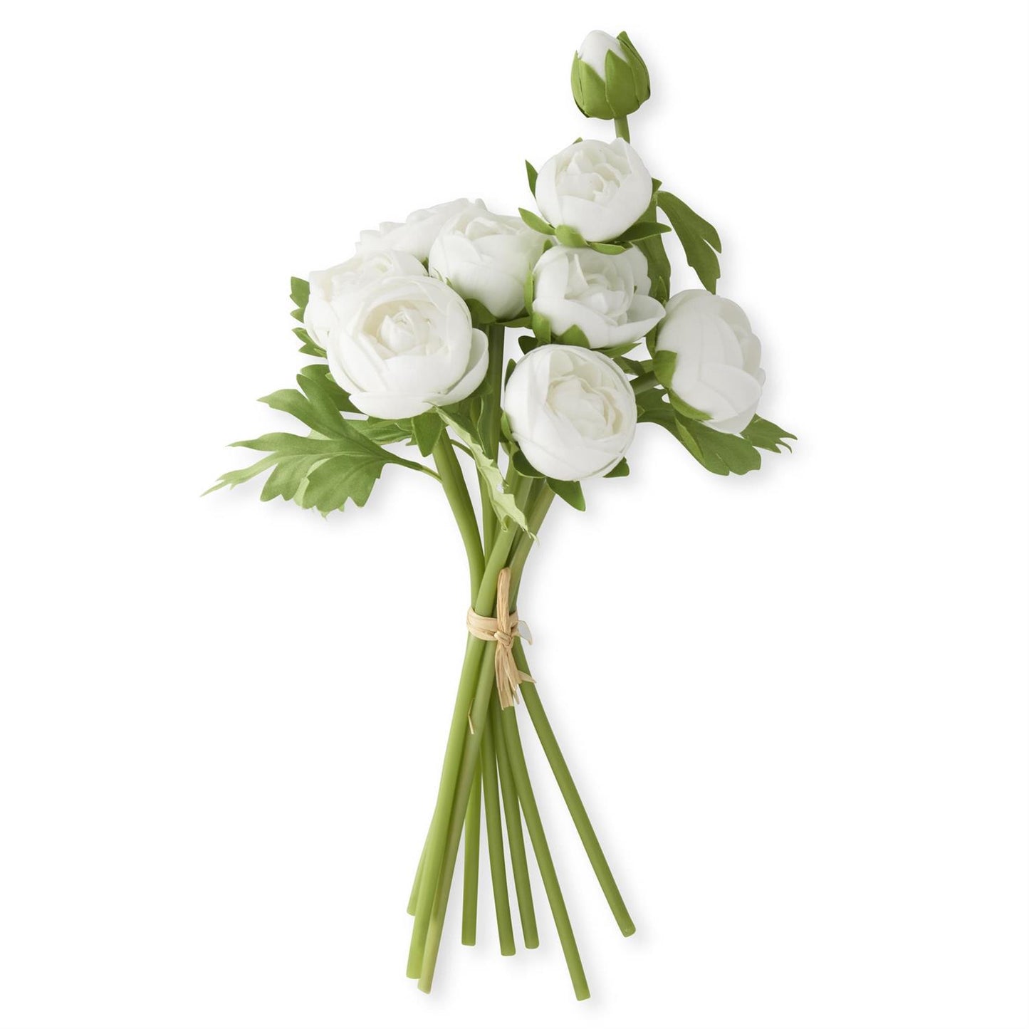 15" White Ranunculus Bundle