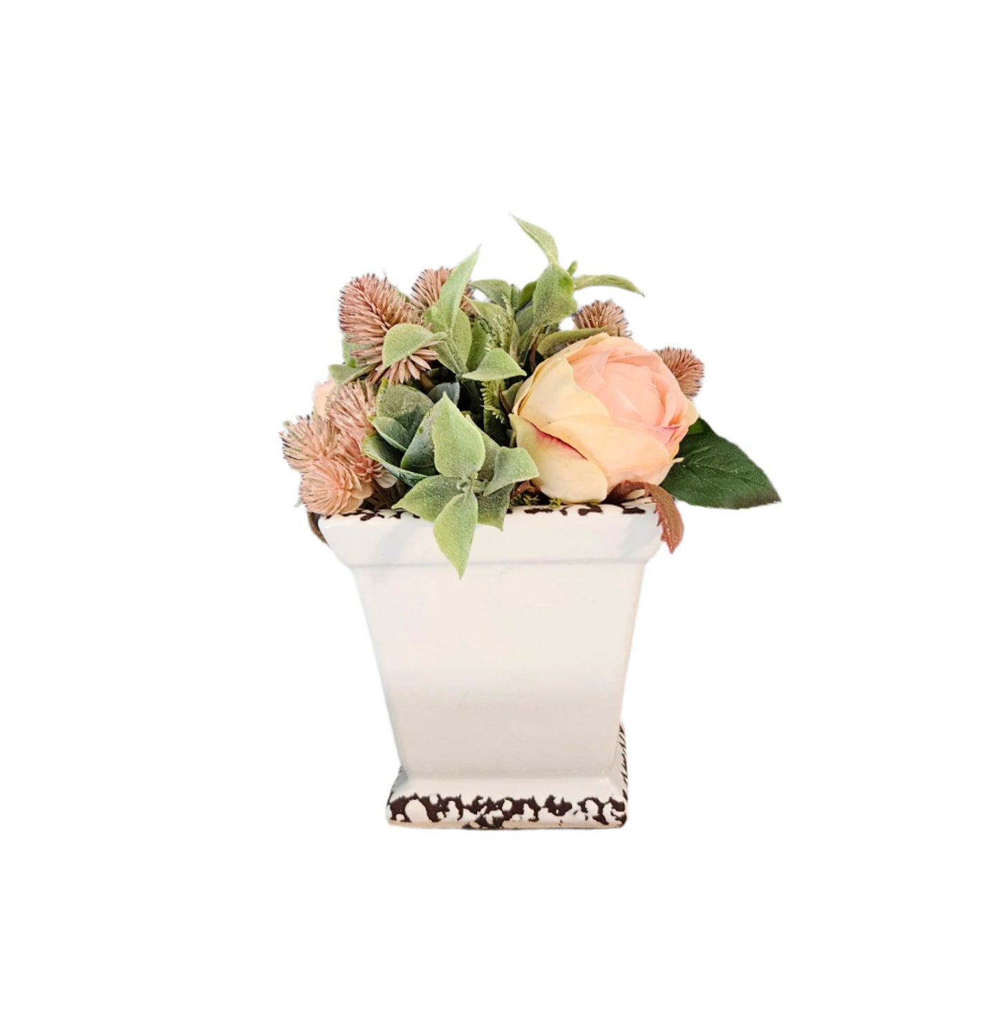 Peach Rose Sit Around