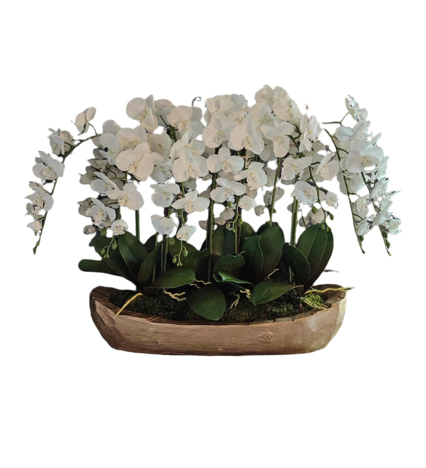 Oblong Orchid Arrangement
