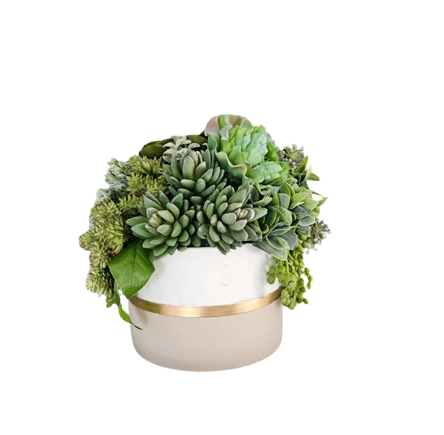 Assorted Succulents In Gold Striped Container