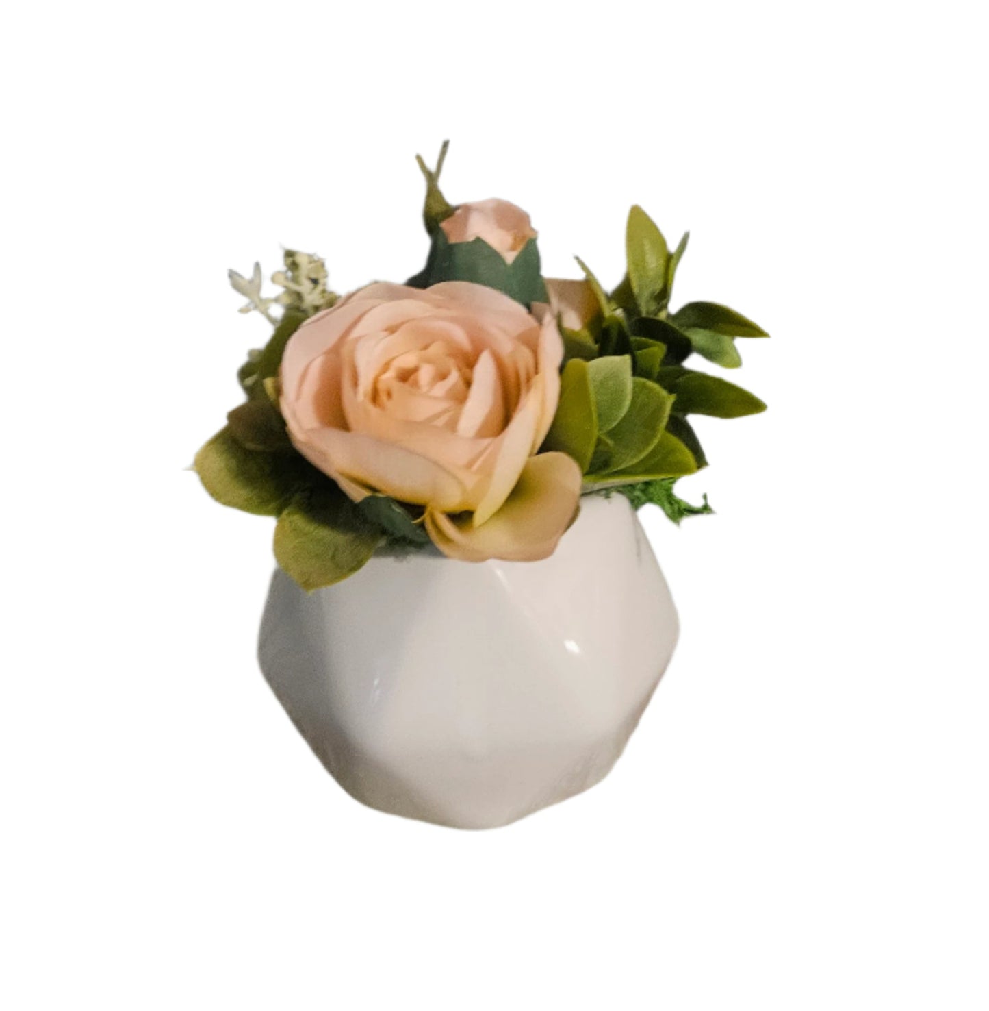 Light Pink Ranunculus Mini Sit Around