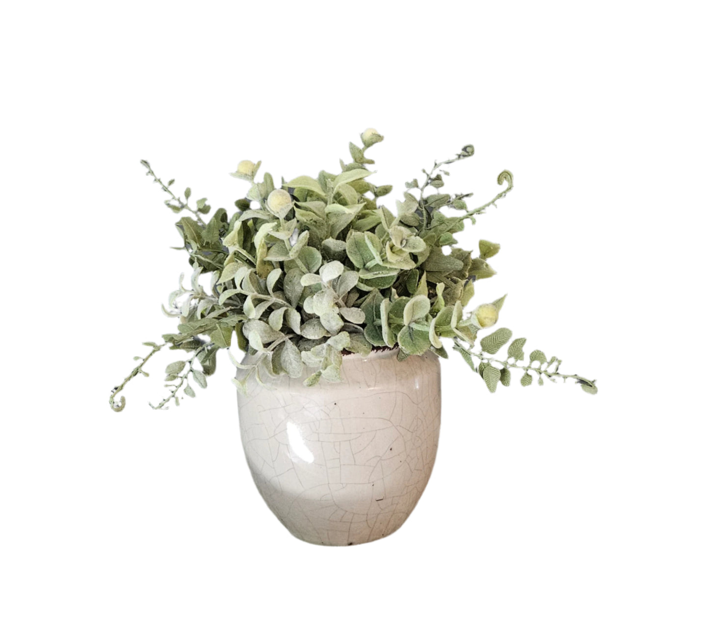 Greenery Sit Around In Gray Container