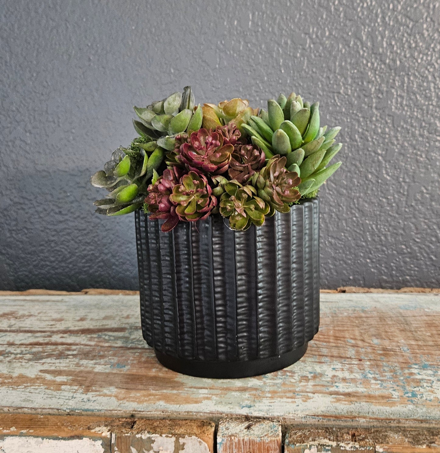 Succulents In Black Container