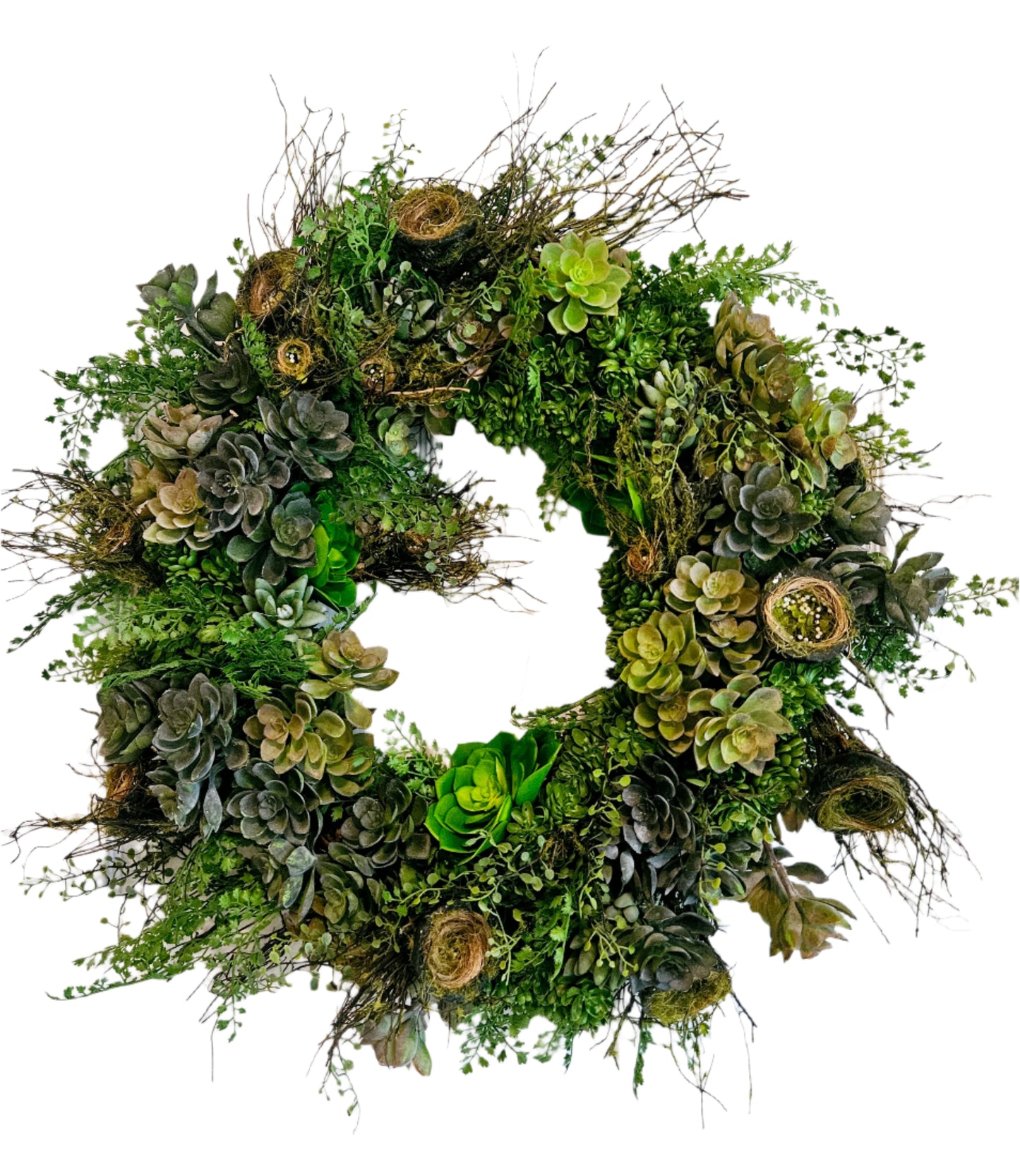 Nest Branches And Succulent Wreath