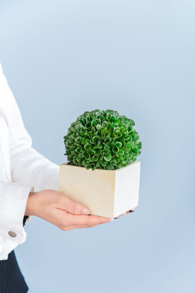 Faux Boxwood Boxed Topiary