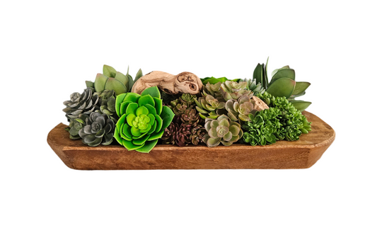 Succulent Doughbowl Arrangement