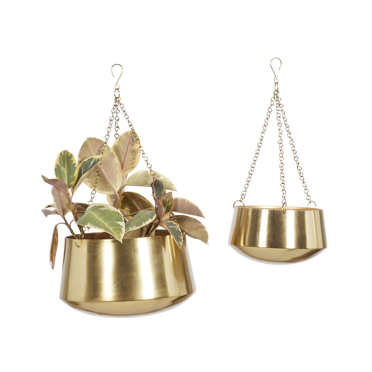 Golden Nest Hanging Planter (Various Sizes)