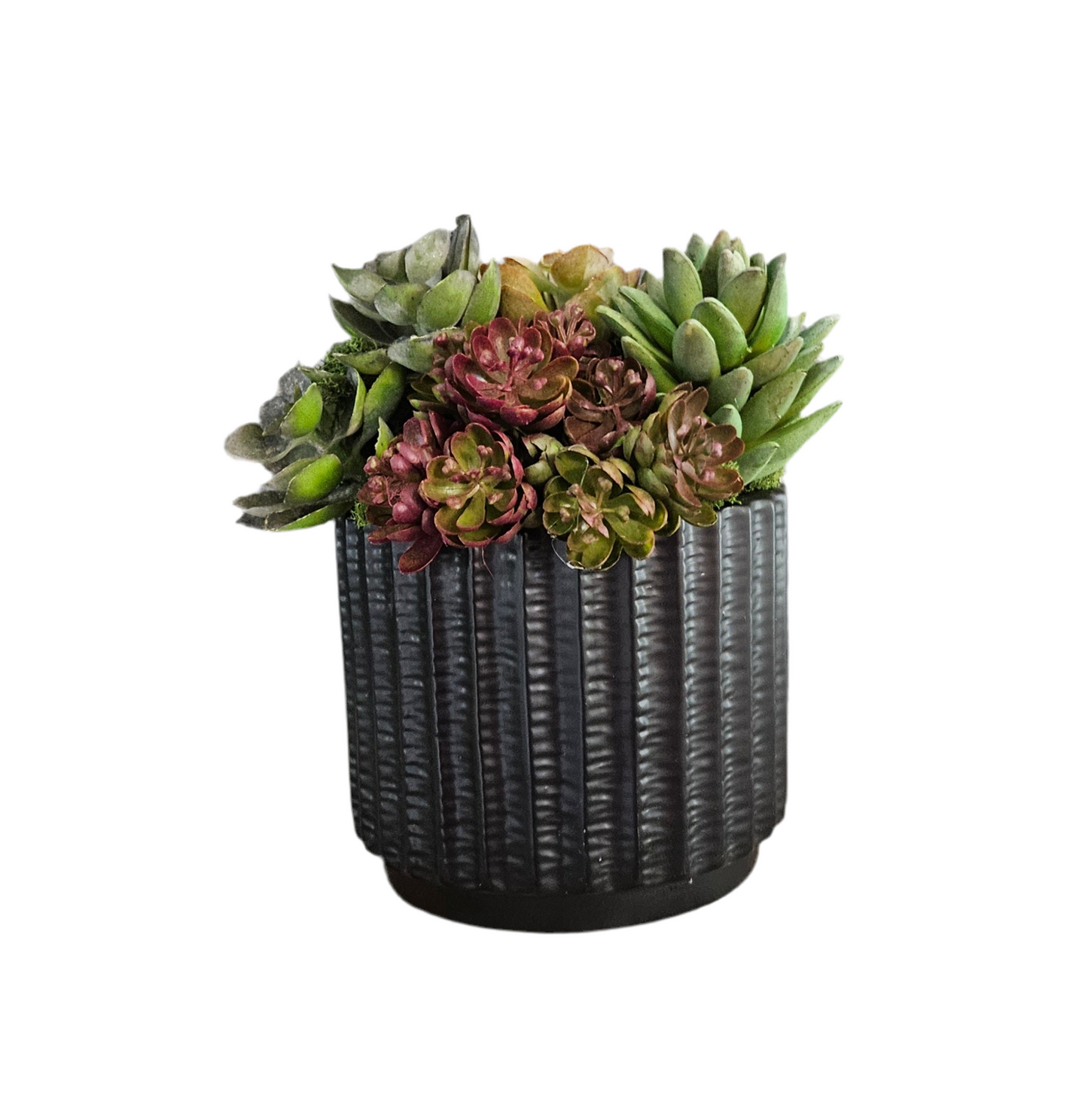 Succulents In Black Container