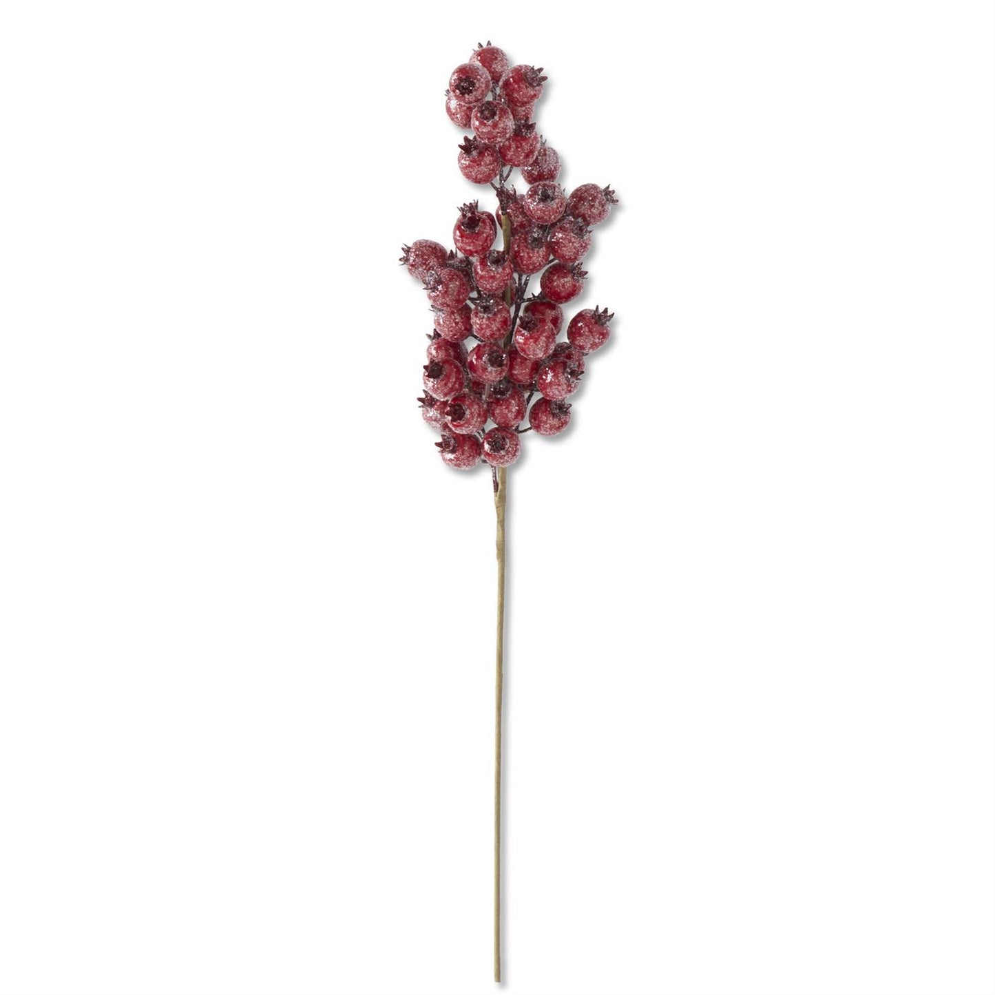 24" Red Glittered Rosehip Stem