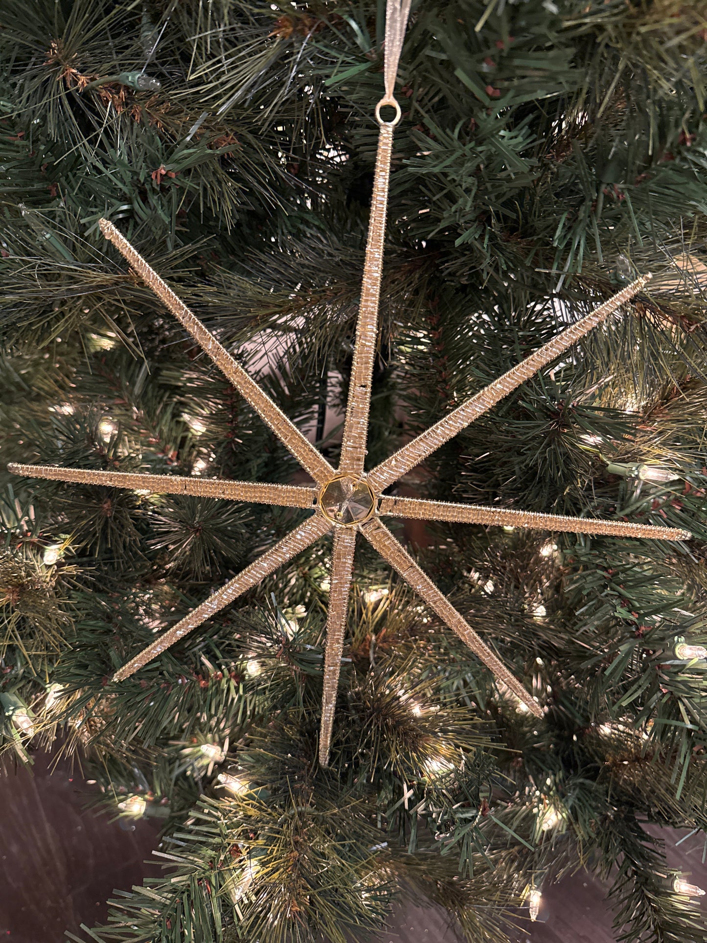 12" Desert Star Ornament, Champagne