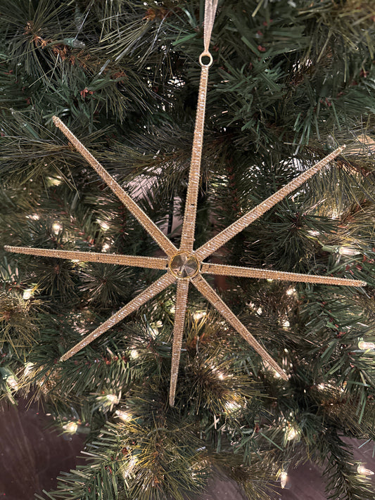 12" Desert Star Ornament, Champagne