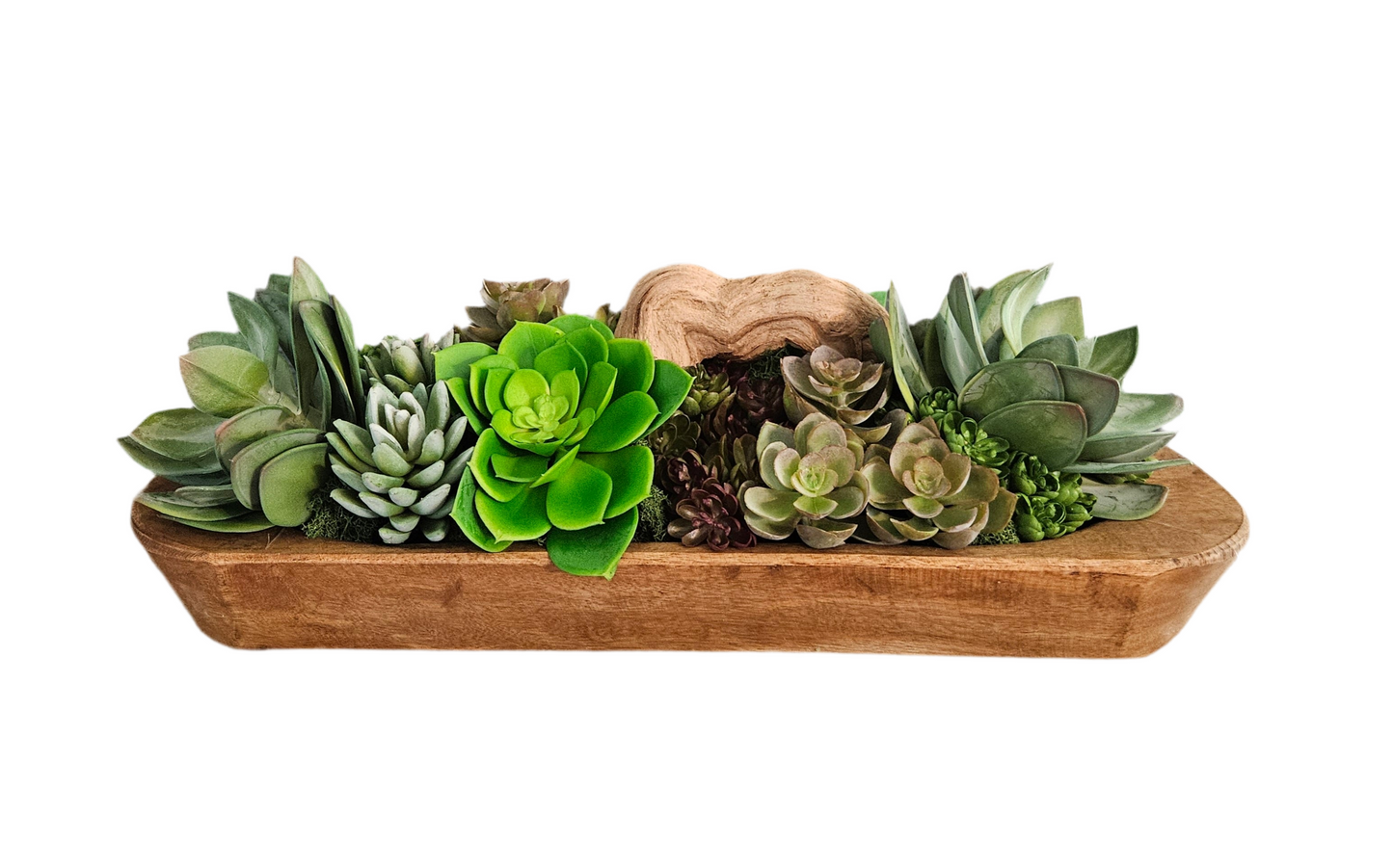 Succulent Doughbowl Arrangement