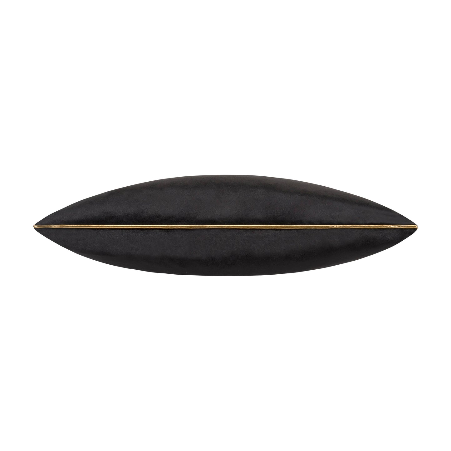 Noah Black Velvet Pillow Featuring Gold Piping