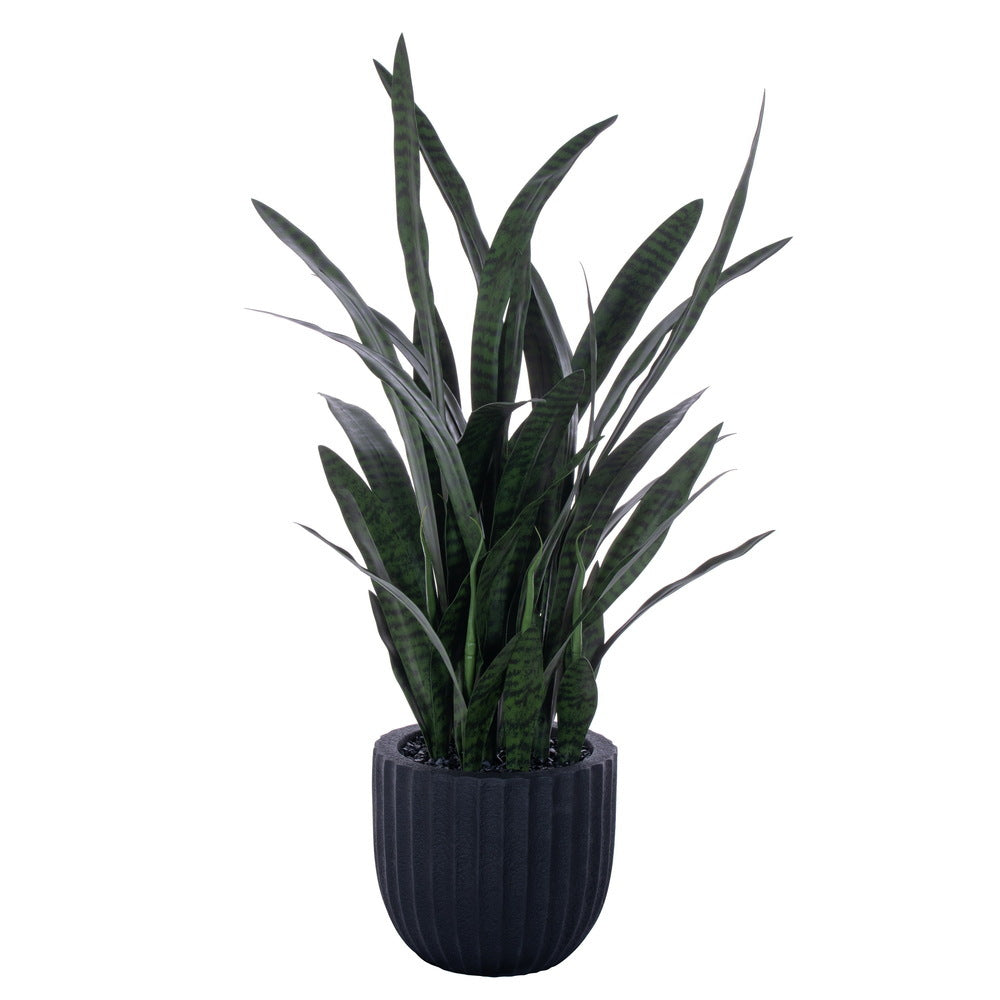 47" Sansevieria Potted Plant