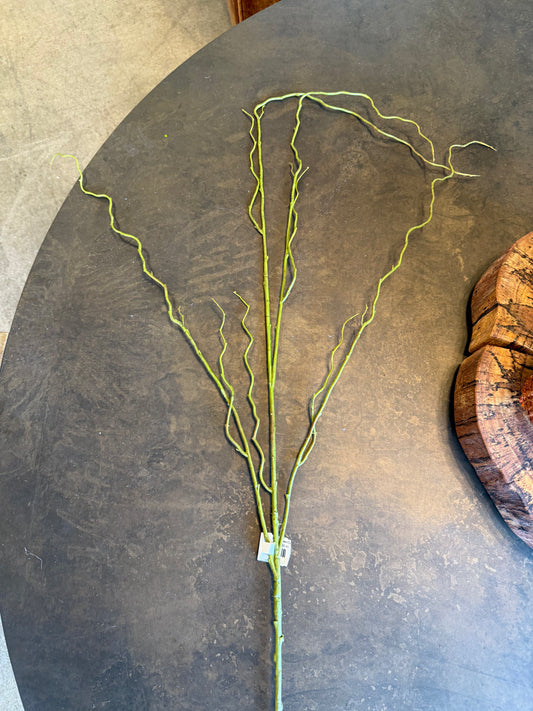 48" Curly Willow, Brown/Green