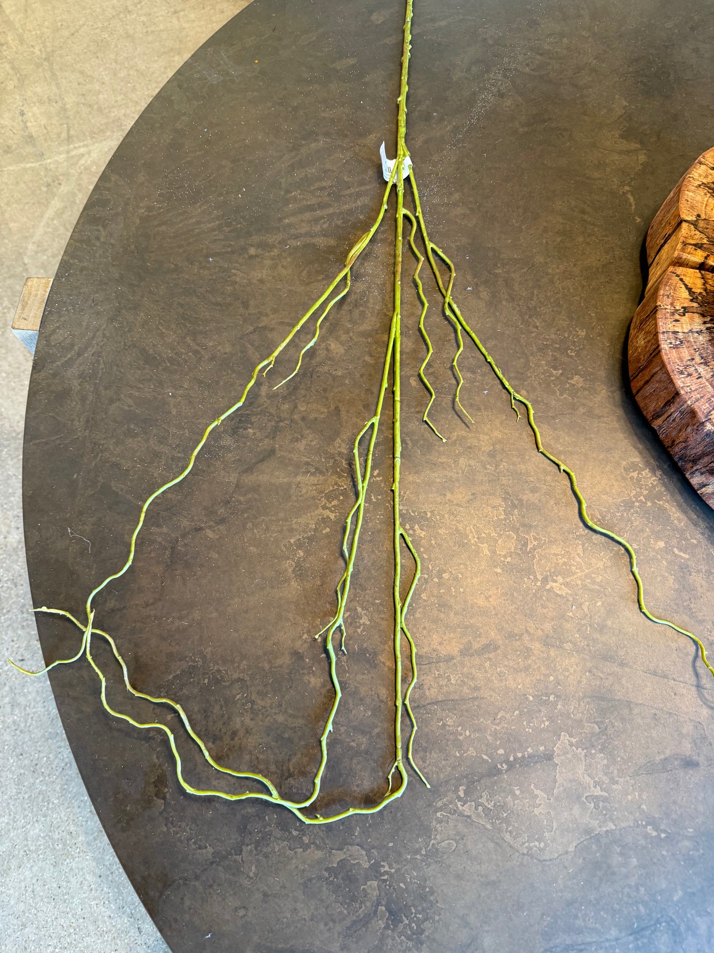 48" Curly Willow, Brown/Green