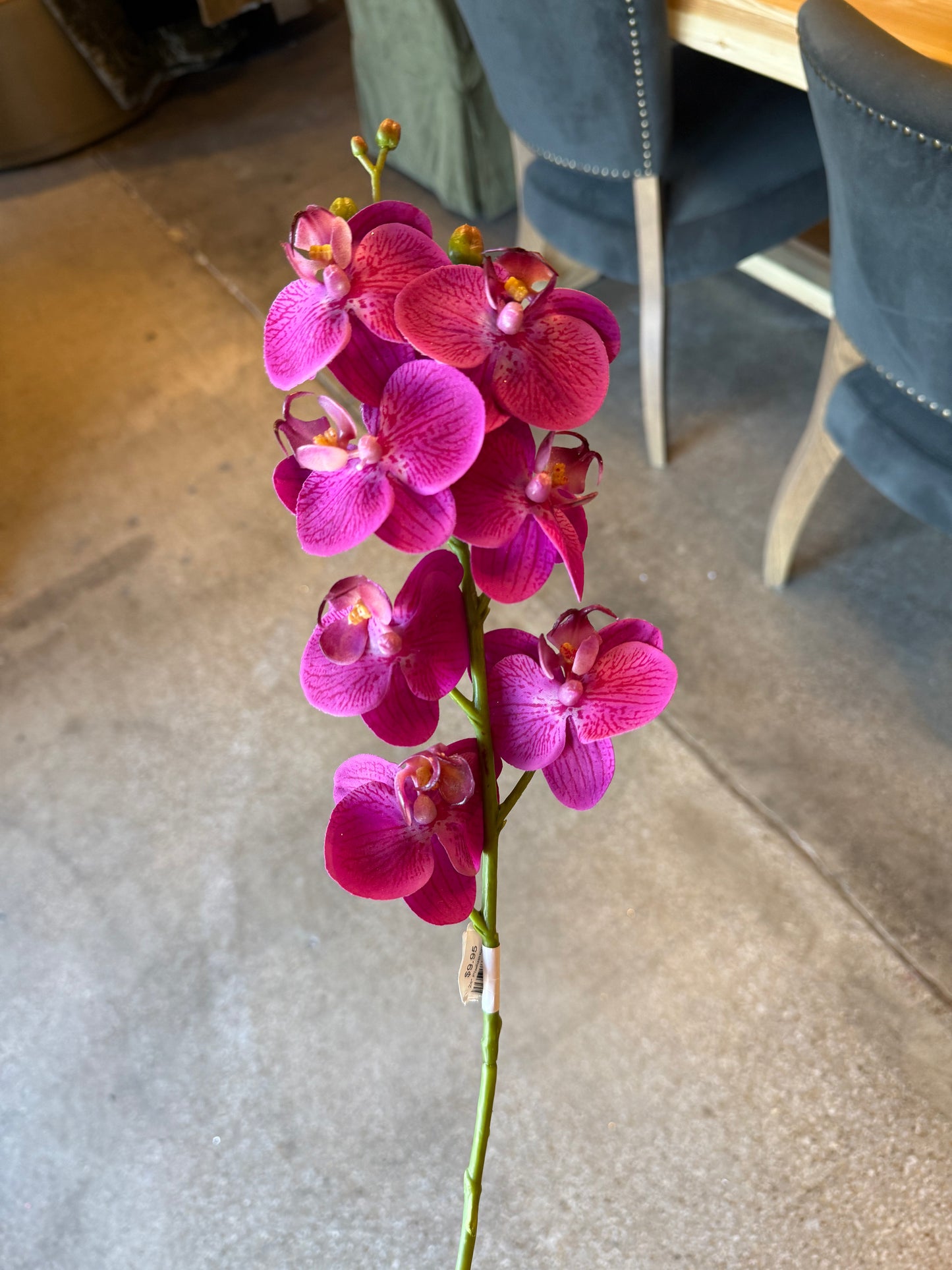 24" Phalaenopsis Orchid, Fuchsia