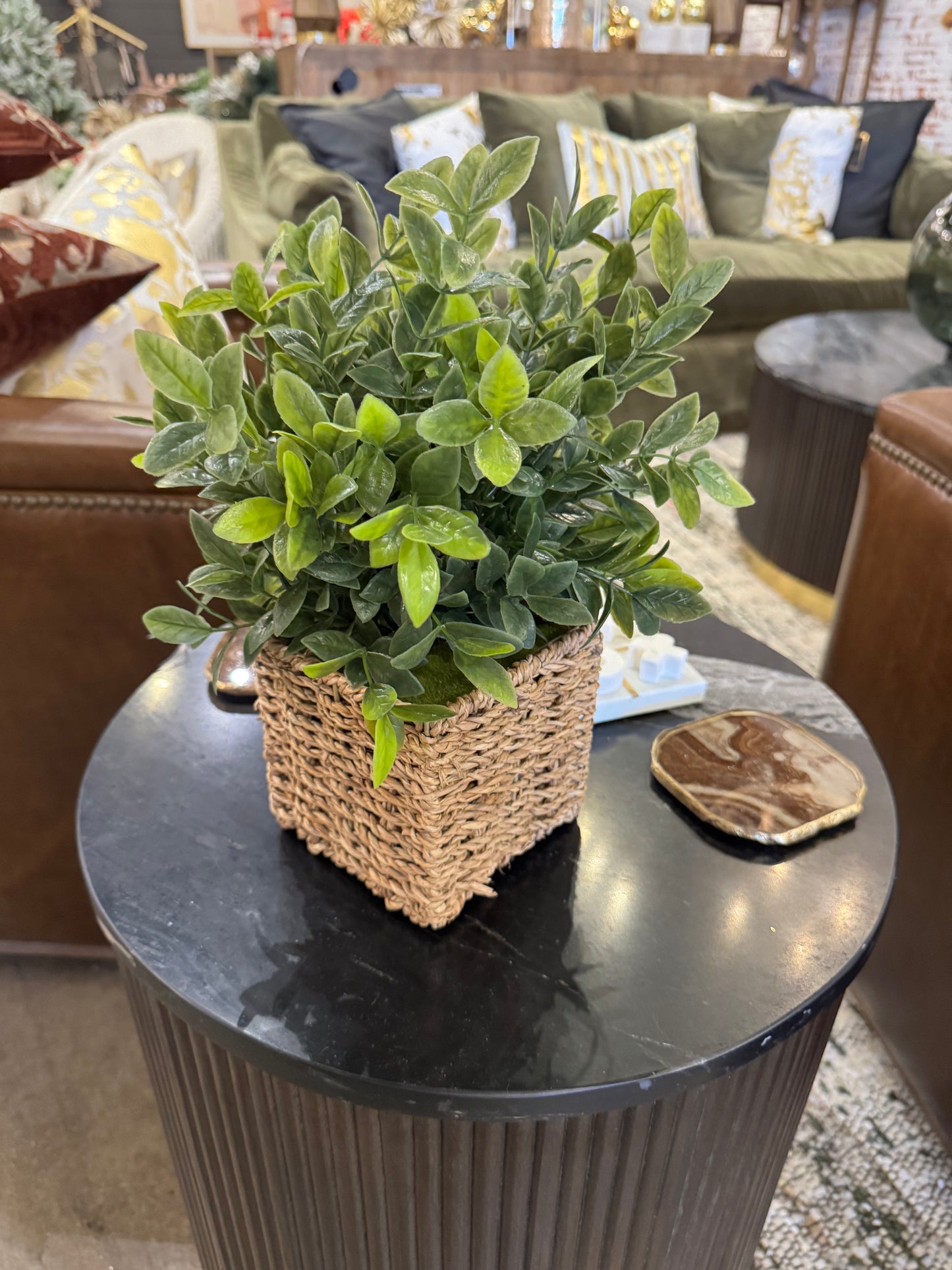 13" Herb in Woven Basket (Various Styles)