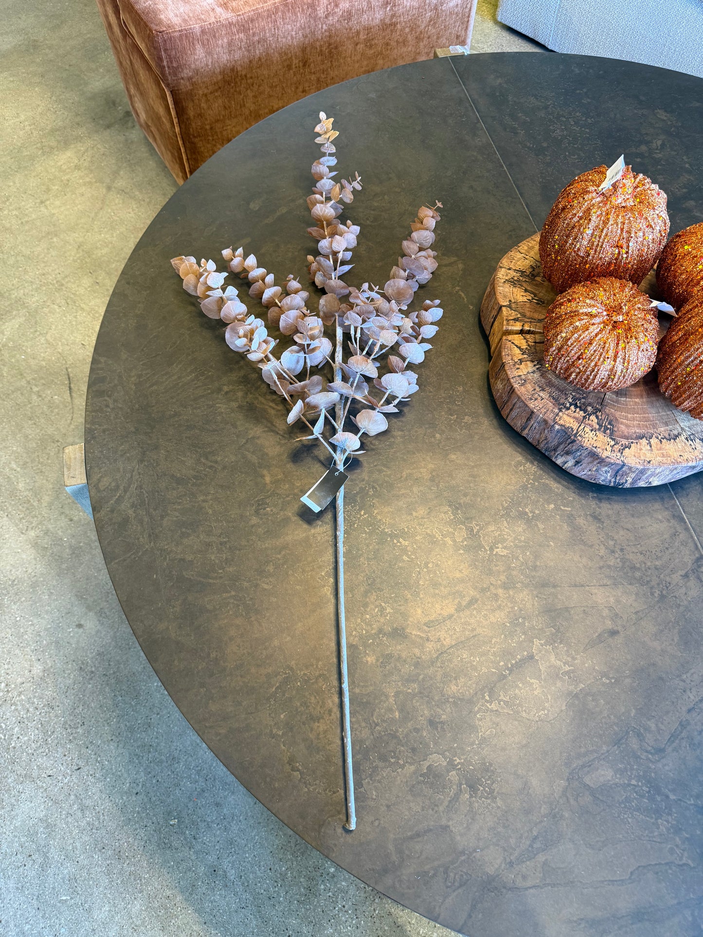 36" Brown Eucalyptus Stem