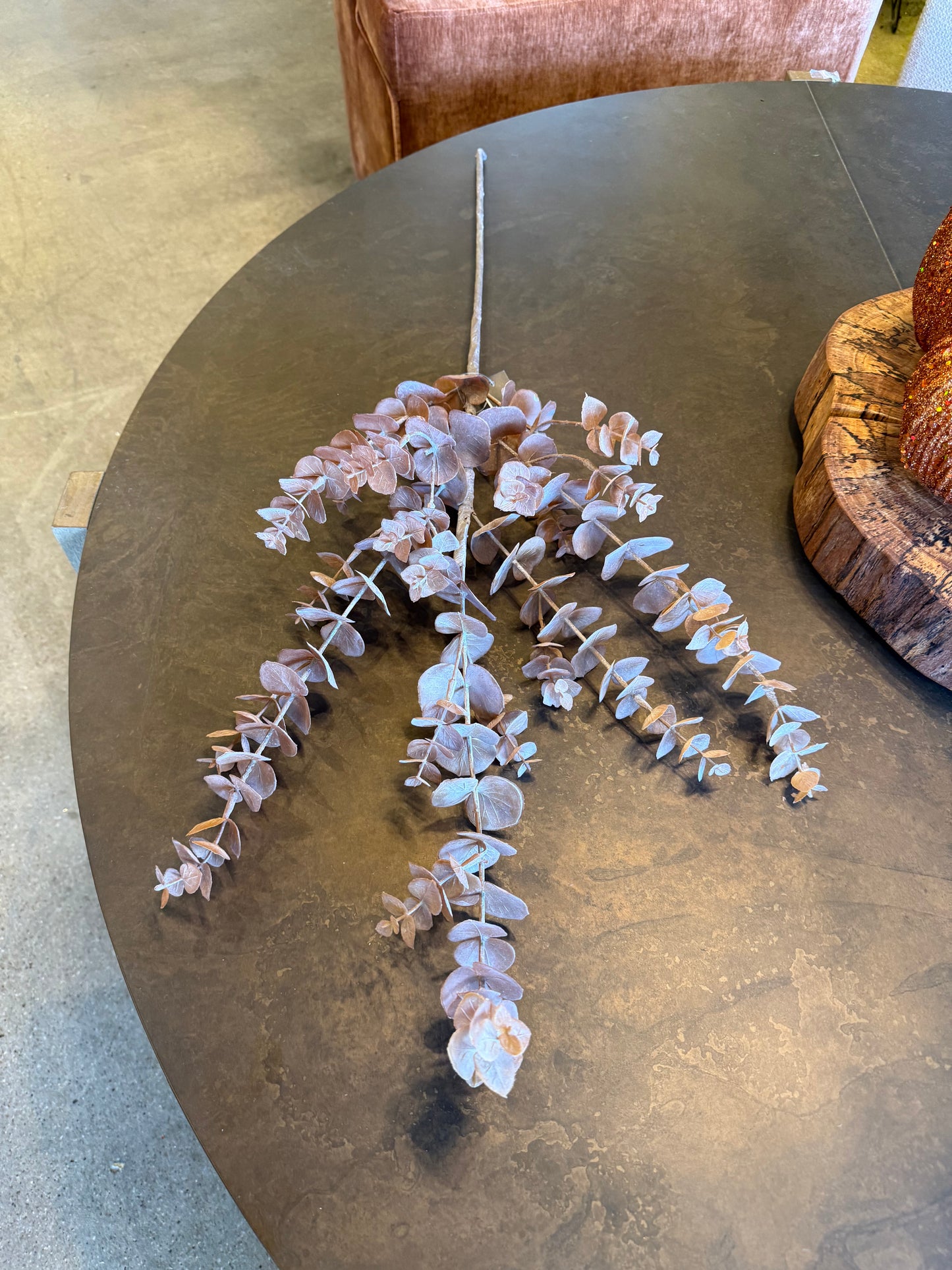 36" Brown Eucalyptus Stem