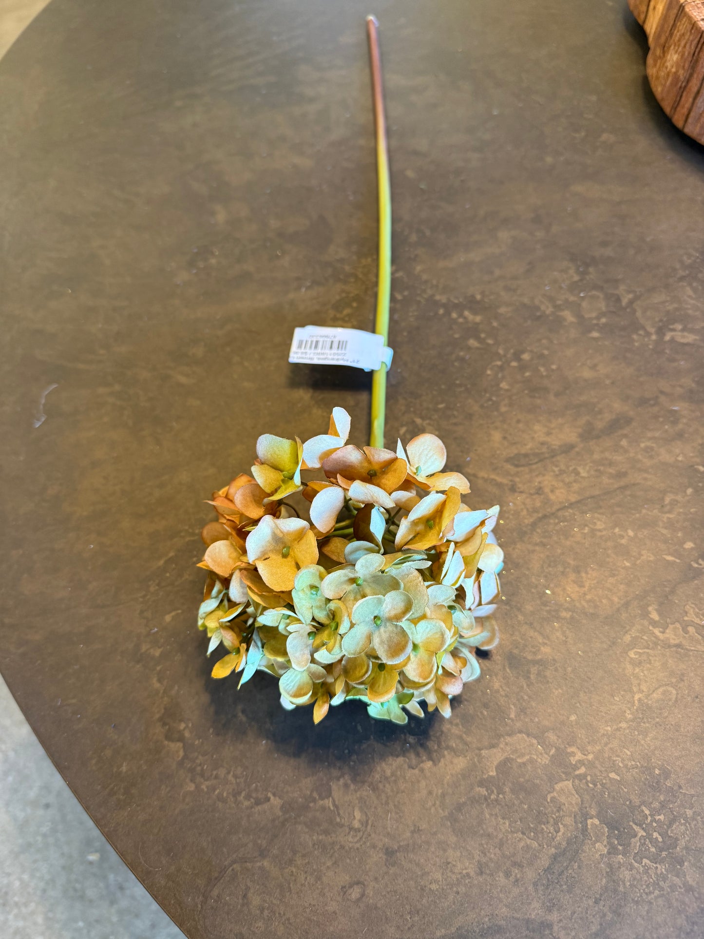 21" Hydrangea, Brown Green