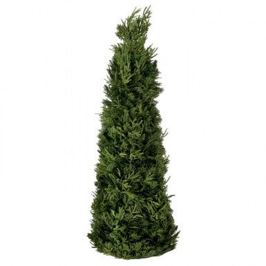 20" Real Touch Cedar Cone Tree