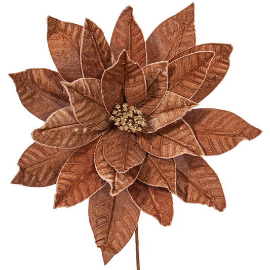 21.5" Mocha Poinsettia