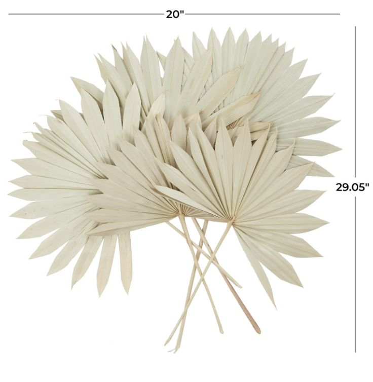 Dried Palm Leaf Sun Spear Foliage
