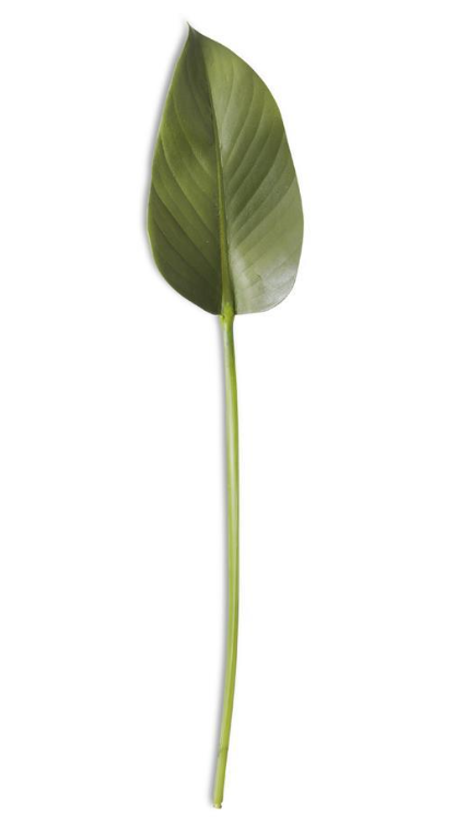 22" Fig Leaf Stem