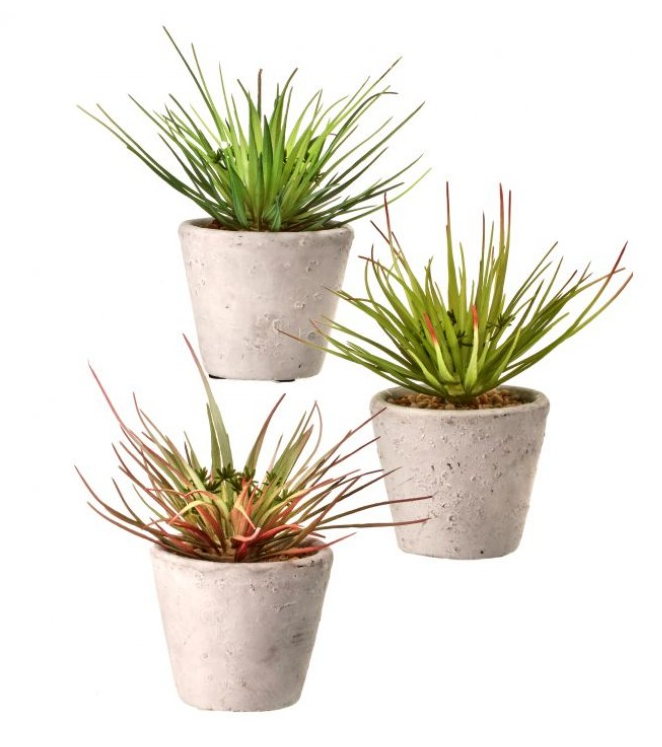 Plastic Grass in Pot (Various Colors)