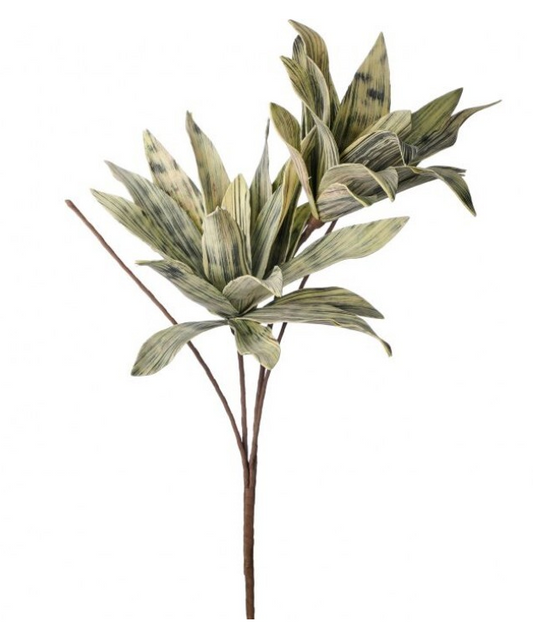 Foam Varigated Yucca