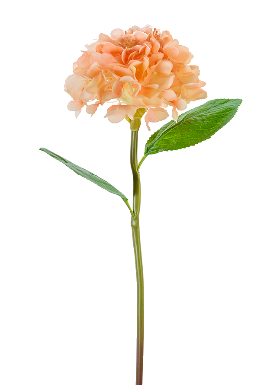 21" Hydrangea Stem, Coral